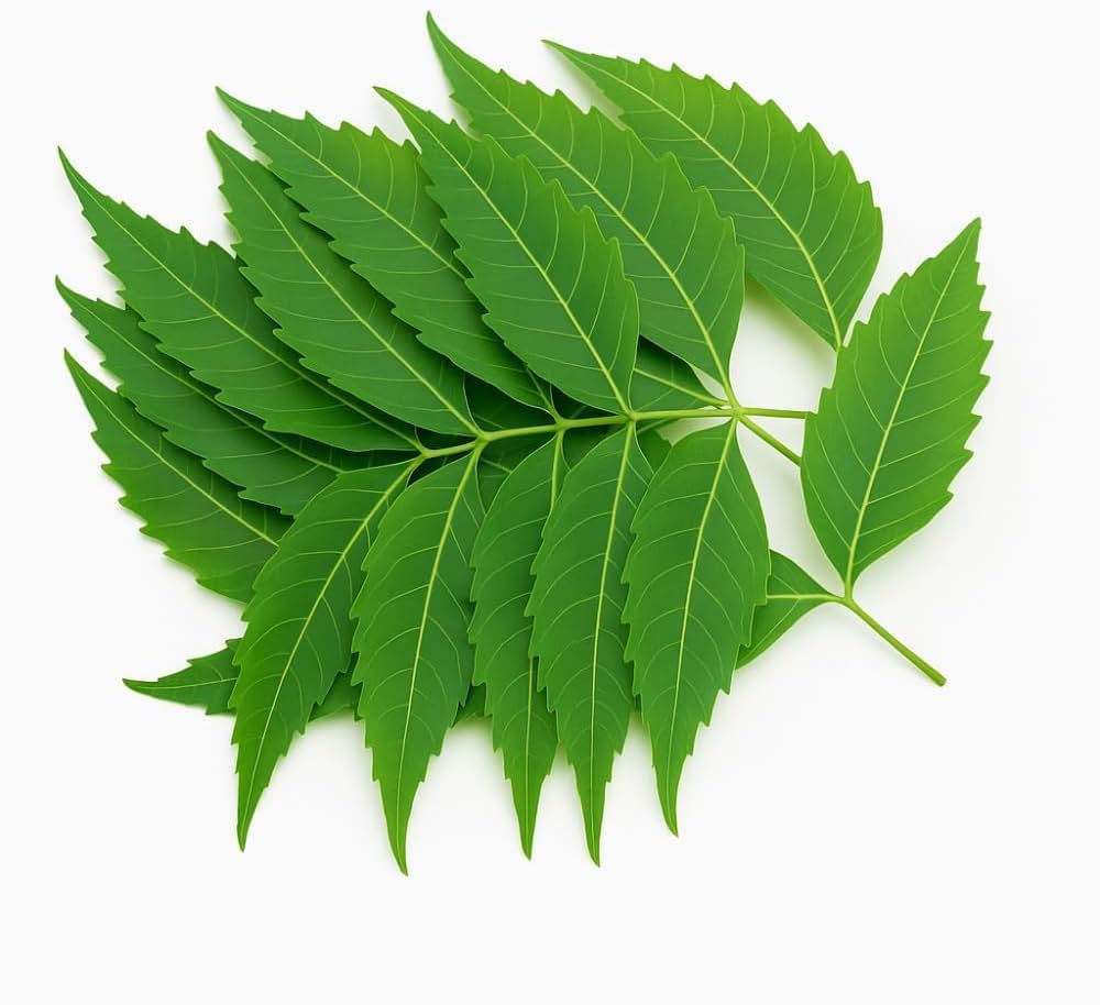 Neem