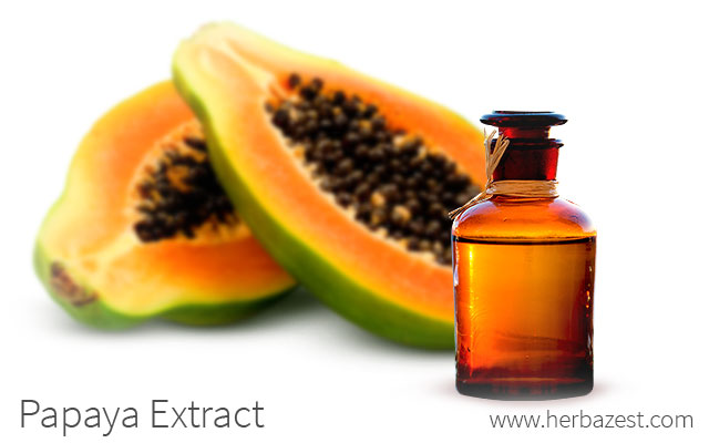 Papaya Extract