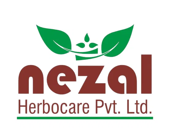 Nezal — previous logo